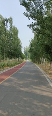 IMG20250614081644