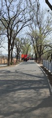 IMG20250403094033