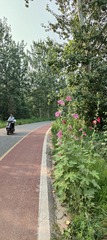 IMG20250614073111