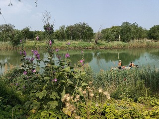IMG20250608091200