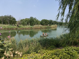 IMG20250608091151