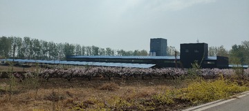IMG20250409095447