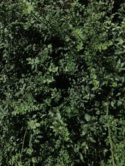 22477A66-720C-48D6-B2CB-F210B1B9FFE1/L0/001