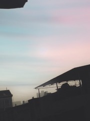 1624204