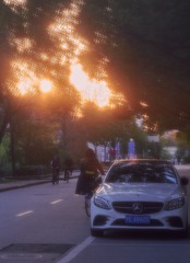 CD93A274-4DF3-474A-B467-90205B10B4FD/L0/001