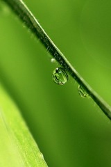 露1-3.jpg