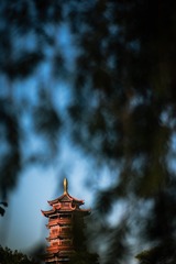 4D697055-5913-4236-BD58-F22B8E3A778A/L0/001