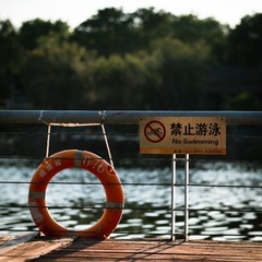 8CD53CE3-456C-4C93-AB50-18FC138B8AC0/L0/001