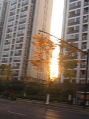 1000101334