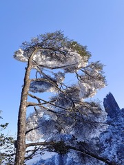 1000152288