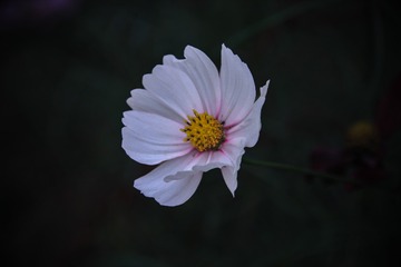 200905