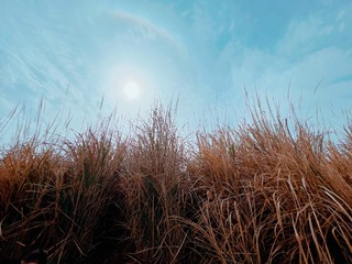 F234AAAB-DD37-4594-9ECC-4CD0B7BE852D/L0/001