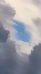 1000002716