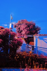 FAE63DF4-31C6-45BA-8FA9-15D32B480B4A/L0/001