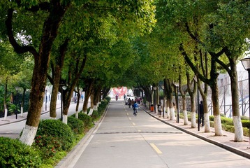 IMGP5537.jpg