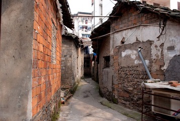 IMGP5558.jpg