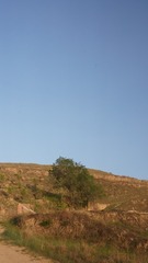 1000015484