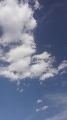 1000015663