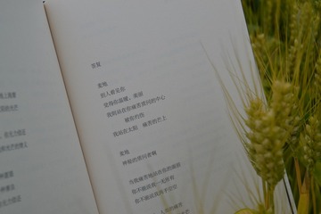 1000175076
