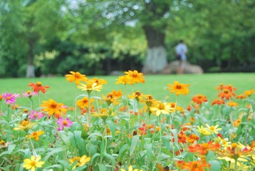 DSC_2618.JPG