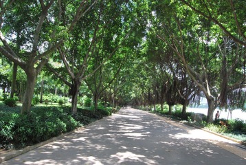 DSC_2591.JPG