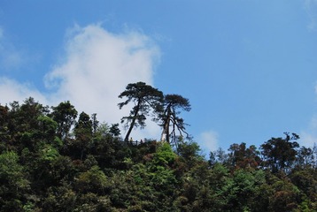 DSC_2329.JPG
