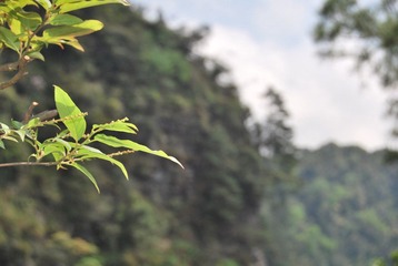 DSC_2323.JPG