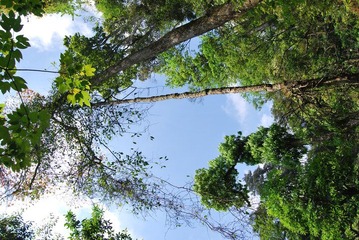 DSC_2334.JPG