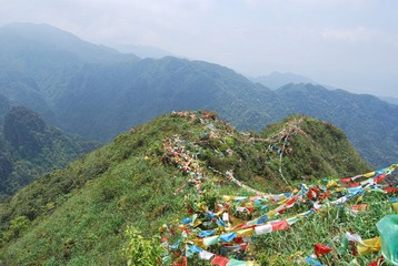 DSC_2303.JPG