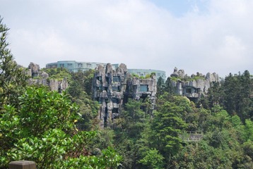DSC_2308.JPG