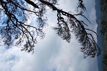 DSC_2309.JPG