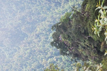 DSC_2316.JPG