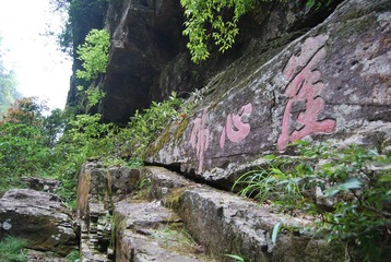 DSC_2353.JPG