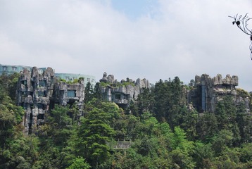 DSC_2307.JPG