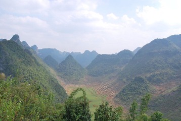 DSC_1368.JPG