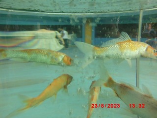06AD9CCD-A566-4D19-8A78-D9F302A1DB56/L0/001
