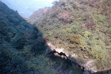 dingoo~`11-7