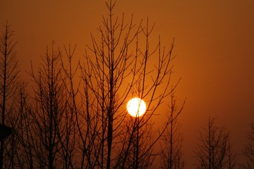 5C206F5A-37D1-4BF7-898C-1FE1CEEECCBC/L0/001