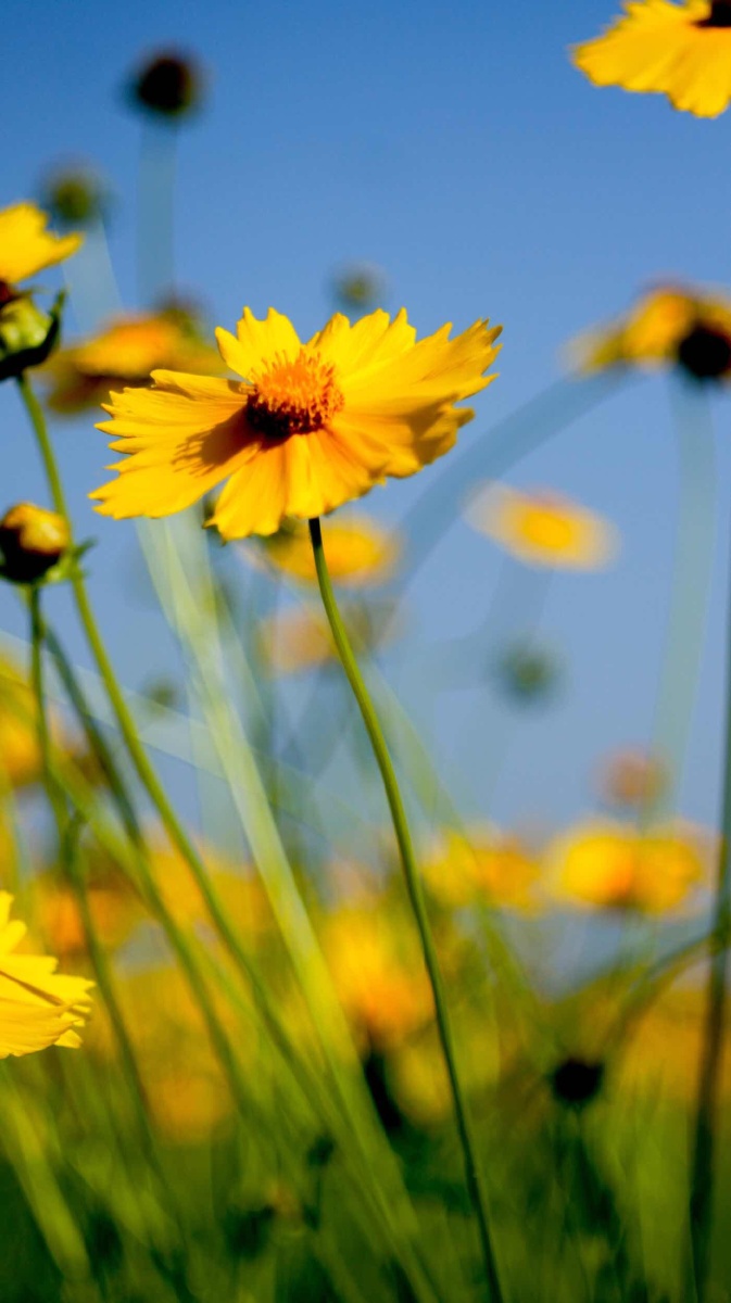 基金品牌财富号影响力榜单(2019年10月)