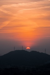 1000025241