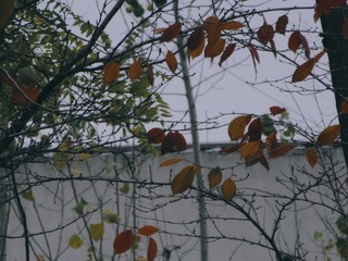 38059006-E8DD-4ED1-8BCA-A0E44D4076E0/L0/001