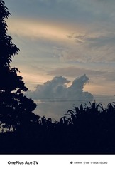 1000010541