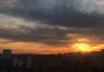 FD097576-2BCE-49BB-B308-328811131F78/L0/001
