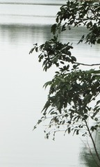 3BDD9603-D4FA-4280-8D2E-1DD160666756/L0/001