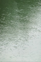 863B946D-3B2F-4257-9407-B534DAEFA72D/L0/001