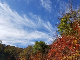 15060F02-9653-4707-876F-E4C0472C33A3/L0/001