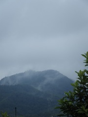 15B32AC9-A019-4640-9357-A9AA9C3BDC26/L0/001