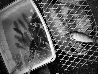 C360_2011-07-31 11-17-31.jpg