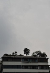 DSC_0758-127.jpg