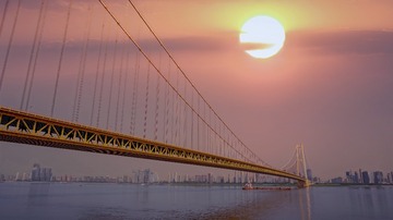 1000027735